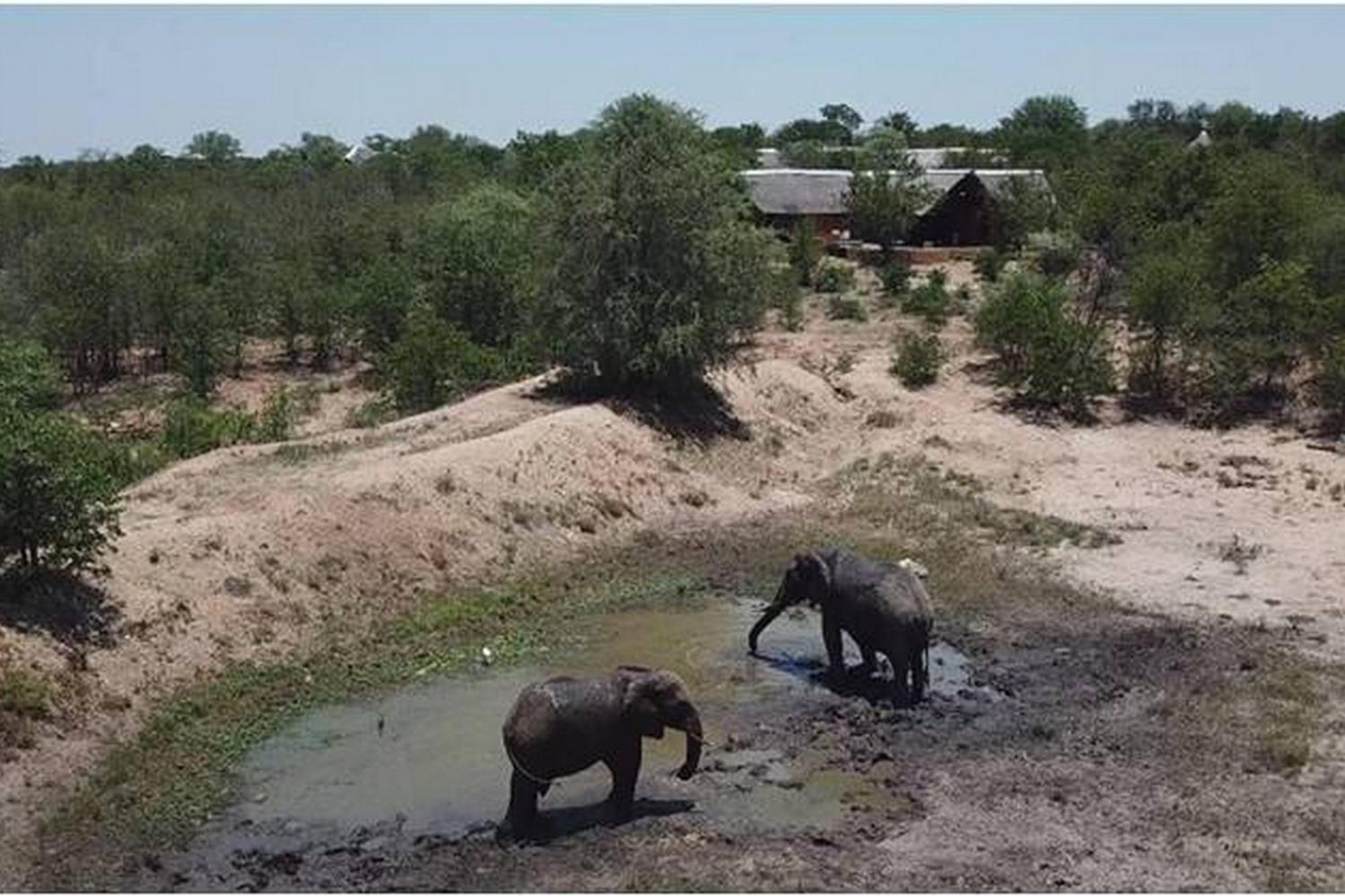 Bushvilla Umoja Kruger Phalaborwa Exterior photo