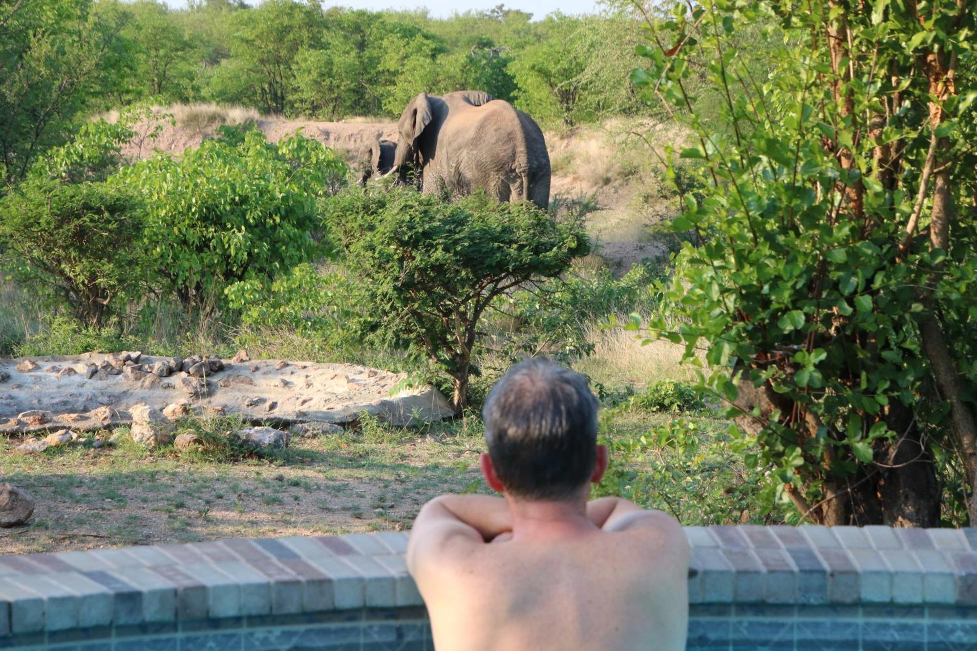 Bushvilla Umoja Kruger Phalaborwa Exterior photo